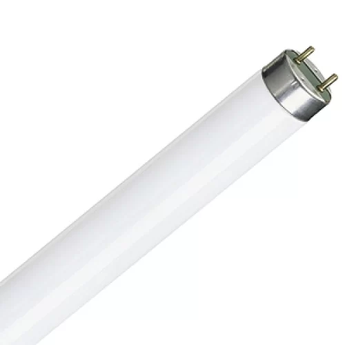 TUB FLUORESCENT T8